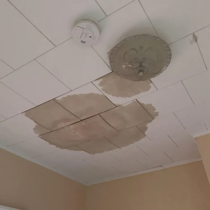 Ceiling Water Damage Repair in Mooreland, OK