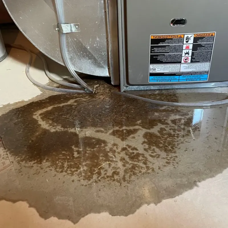 Pipe Burst and Leak Restoration in Mooreland, OK