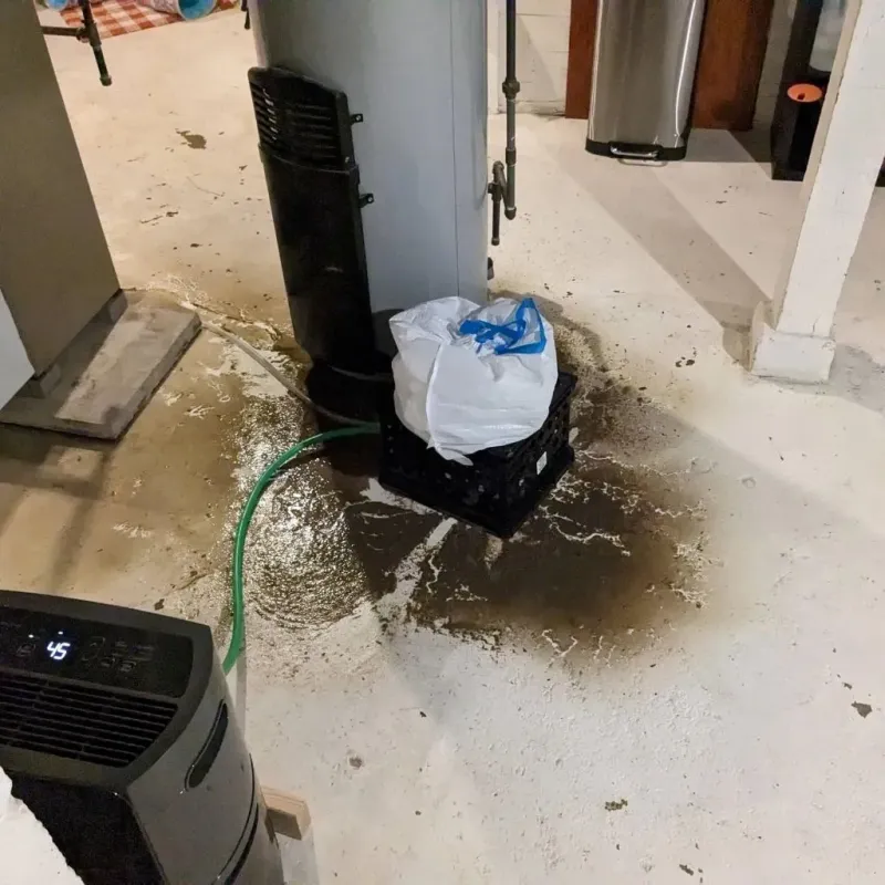 Sewage Backup Cleanup Service in Mooreland, OK